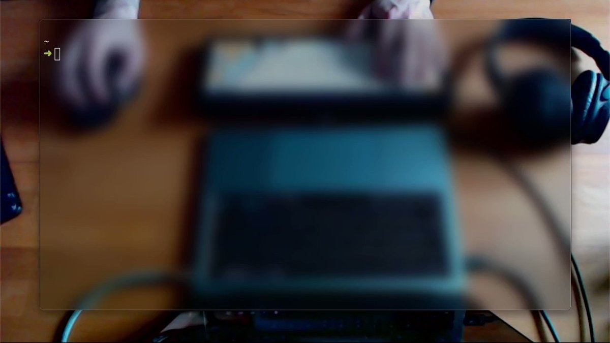 translucent terminal on top of the webcam feed